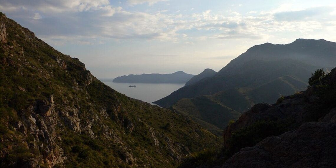 Reserva Marina de Cabo Tiñoso: Descubre el tesoro natural de Murcia