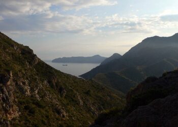 Reserva Marina de Cabo Tiñoso: Descubre el tesoro natural de Murcia