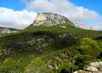 Esta es una fotografía de una Zona Especial de Conservación en España. Pico del Morrón - Sierra de Espuña