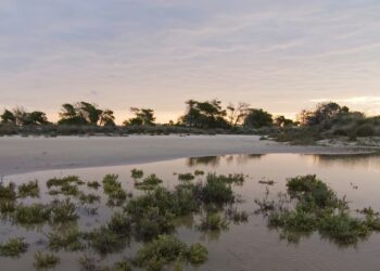Parque regional salinas de san pedro