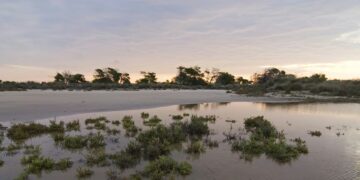 Parque regional salinas de san pedro