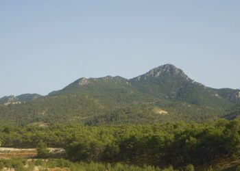 Descubre el Parque Regional Sierra de la Pila: Naturaleza, rutas y biodiversidad en la Región de Murcia