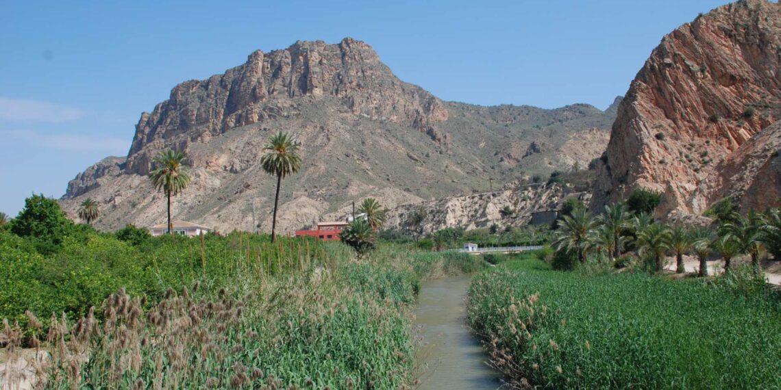 Imagen del río Segura a su paso por la huerta de la localidad de Ojós. Paraje del morisco Valle de Ricote.