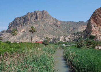 Imagen del río Segura a su paso por la huerta de la localidad de Ojós. Paraje del morisco Valle de Ricote.