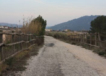 Vía Verde del Noroeste al principio del tramo entre Bullas y Mula.