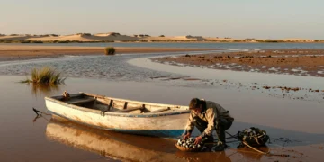 Pescador recolectando almejas en las marismas de la ría Formosa, Algarve, durante la marea baja al atardecer
