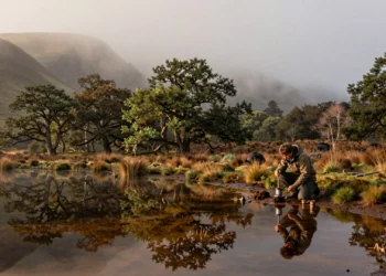 Investigador extrayendo núcleo de sedimento en laguna montañosa del País Vasco al amanecer entre niebla y bosque antiguo