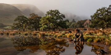 Investigador extrayendo núcleo de sedimento en laguna montañosa del País Vasco al amanecer entre niebla y bosque antiguo