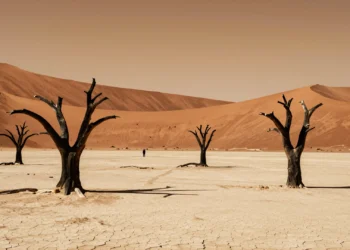 Árboles muertos de espina de camello en Deadvlei, Namibia, con dunas rojas y cielo ámbar al atardecer
