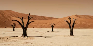 Árboles muertos de espina de camello en Deadvlei, Namibia, con dunas rojas y cielo ámbar al atardecer