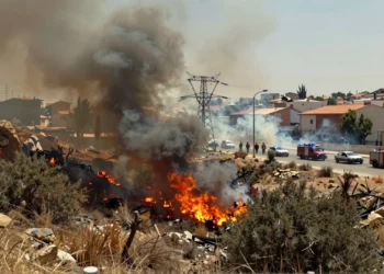 Incendio en la rambla de Las Monjas en Molina de Segura con llamas junto a torres eléctricas y viviendas residenciales