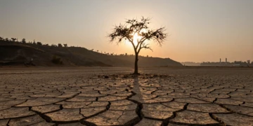 Tierra agrietada y árbol seco bajo cielo anaranjado con chimeneas industriales al fondo simbolizando la deuda ecológica