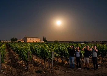 Turistas observan un eclipse solar entre viñedos de Ribera del Duero, con una bodega de piedra y cielo índigo dorado