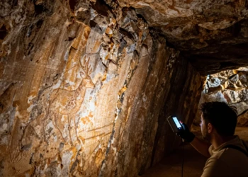 Investigador escanea grabados prehistóricos de un ciervo enano en una cueva de Creta con 12.000 años de antigüedad