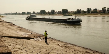 Barcaza de carga en el río Rin con nivel crítico durante la sequía histórica en Europa, lecho fluvial expuesto