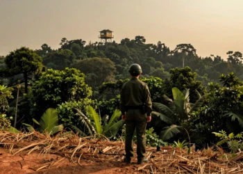 Guardabosques chino de uniforme verde vigila un bosque subtropical desde una torre de vigilancia contra incendios forestales